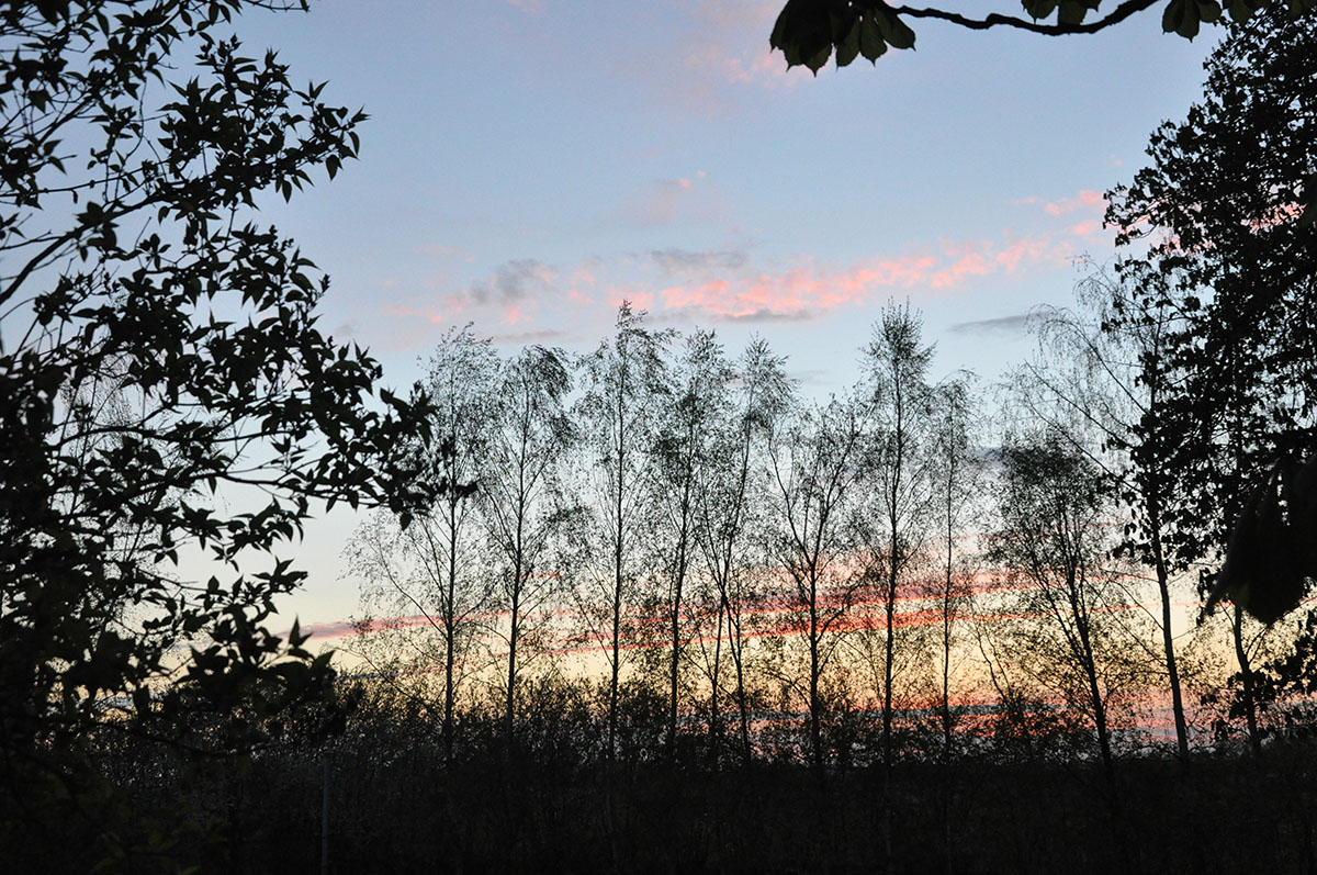 zachód słońca Zespół Dworsko-Parkowy Nieżywięć